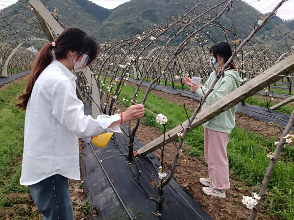 1713432476518235.png 图片2(1).png